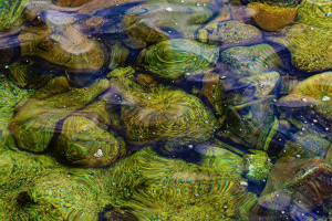 expo atalante avril 2024
-galerie