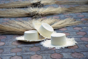 MCHA-EQUATEUR_1996_PANAMAS