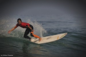 Surfing-Copier